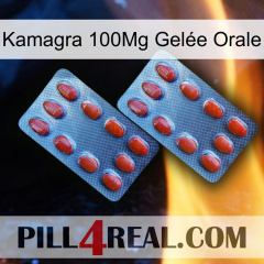 Kamagra 100Mg Gelée Orale 05